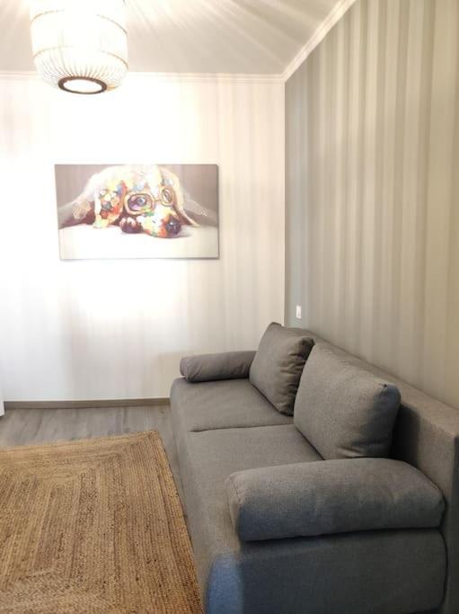 Апартаменты Cocon De Charline - Charme Et Elegance Dans Le Centre Монтобан Экстерьер фото